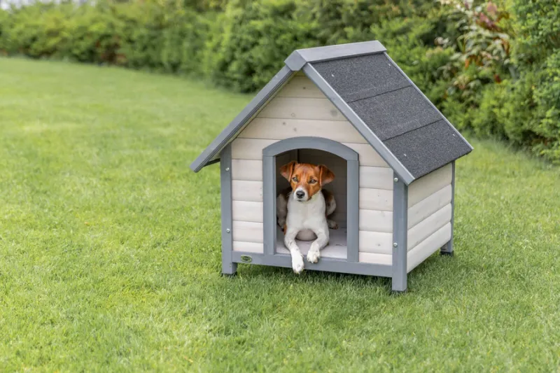 Hundehütte Cottage